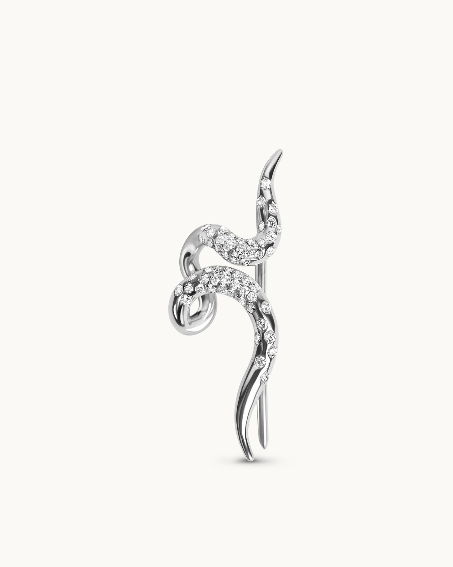 Spiral Earring